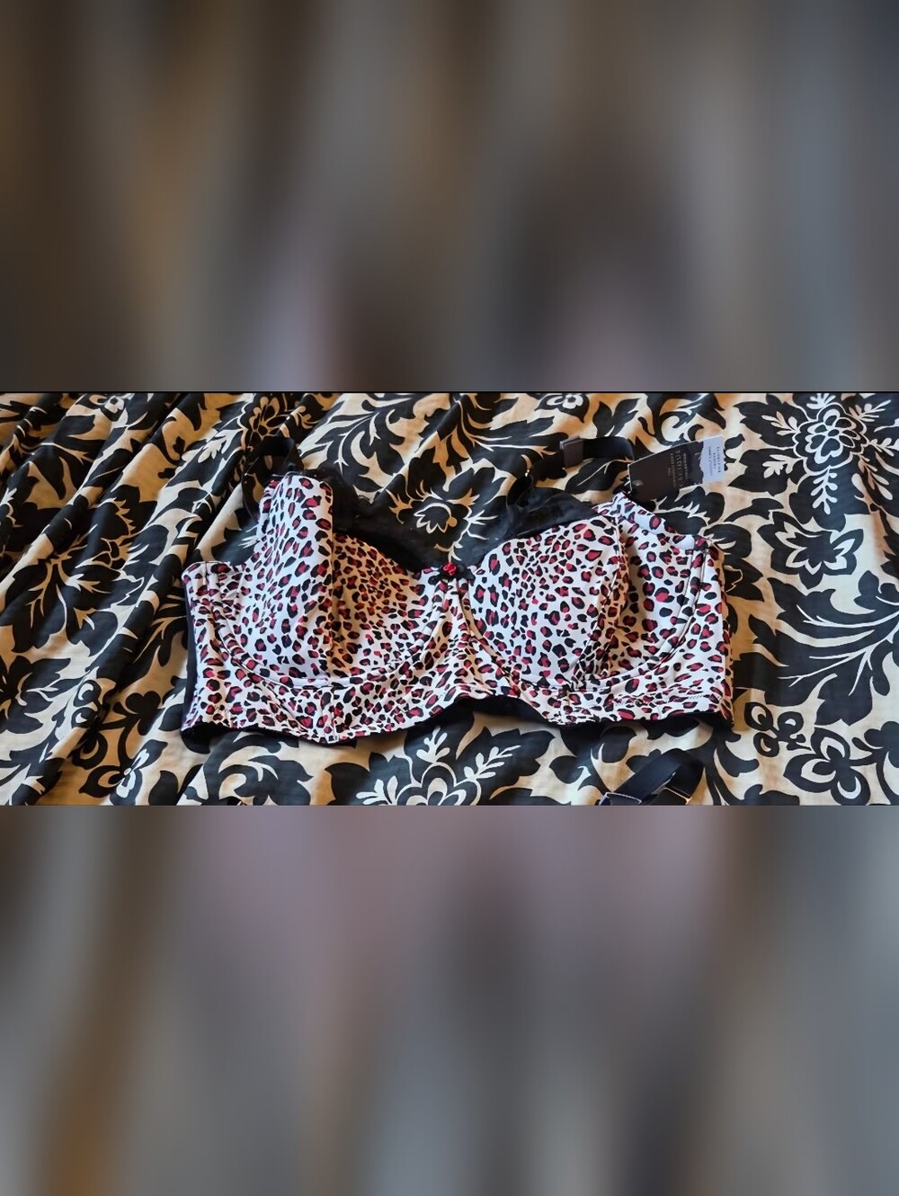 Caciqye Leopard Print Balconette Bra - Pink & Black 44DDD